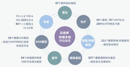 臻和科技獲超十億元E輪融資，加速腫瘤診斷產品研發及信息技術咨詢服務升級
