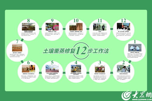 濰坊模式顯成效 全國首個生姜土壤熏蒸服務規(guī)范出爐，信息技術賦能農(nóng)業(yè)新篇章